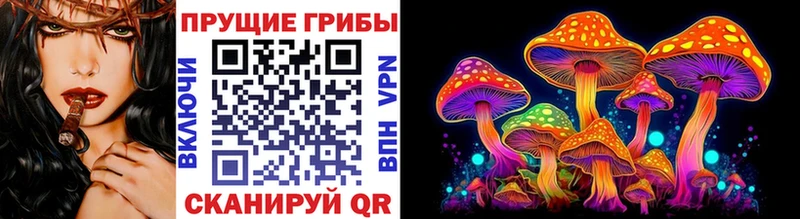 наркота  Красавино  Псилоцибиновые грибы Cubensis 